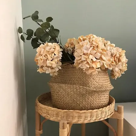 Santo Cristo Ponta Delgada